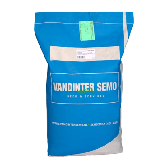 VDS Zwaardherik (Eruca Sativa) 3 VDS Zwaardherik (Eruca Sativa) - Image 2