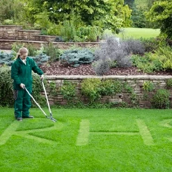 Tuin Verzorging Winkel -Tuin Verzorging Winkel image 79